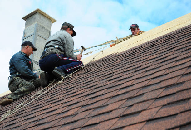 Professional Roofing Contractor in Farmington, MN