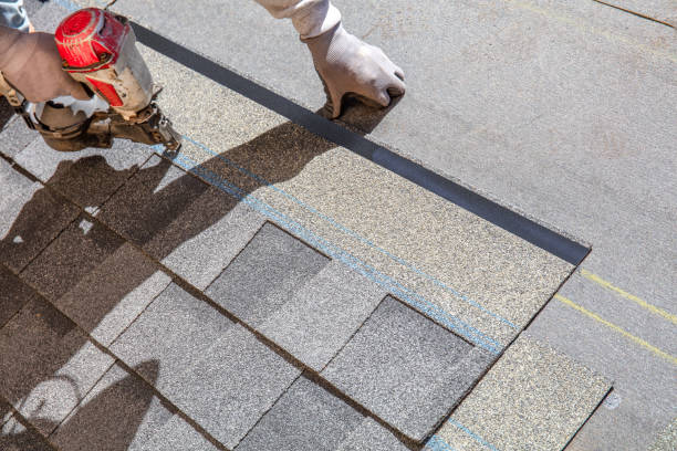Best Flat Roof Repair Services  in Farmington, MN